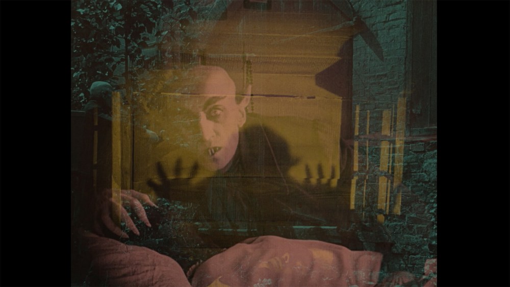 sipophantasma_fotopelicula_11708